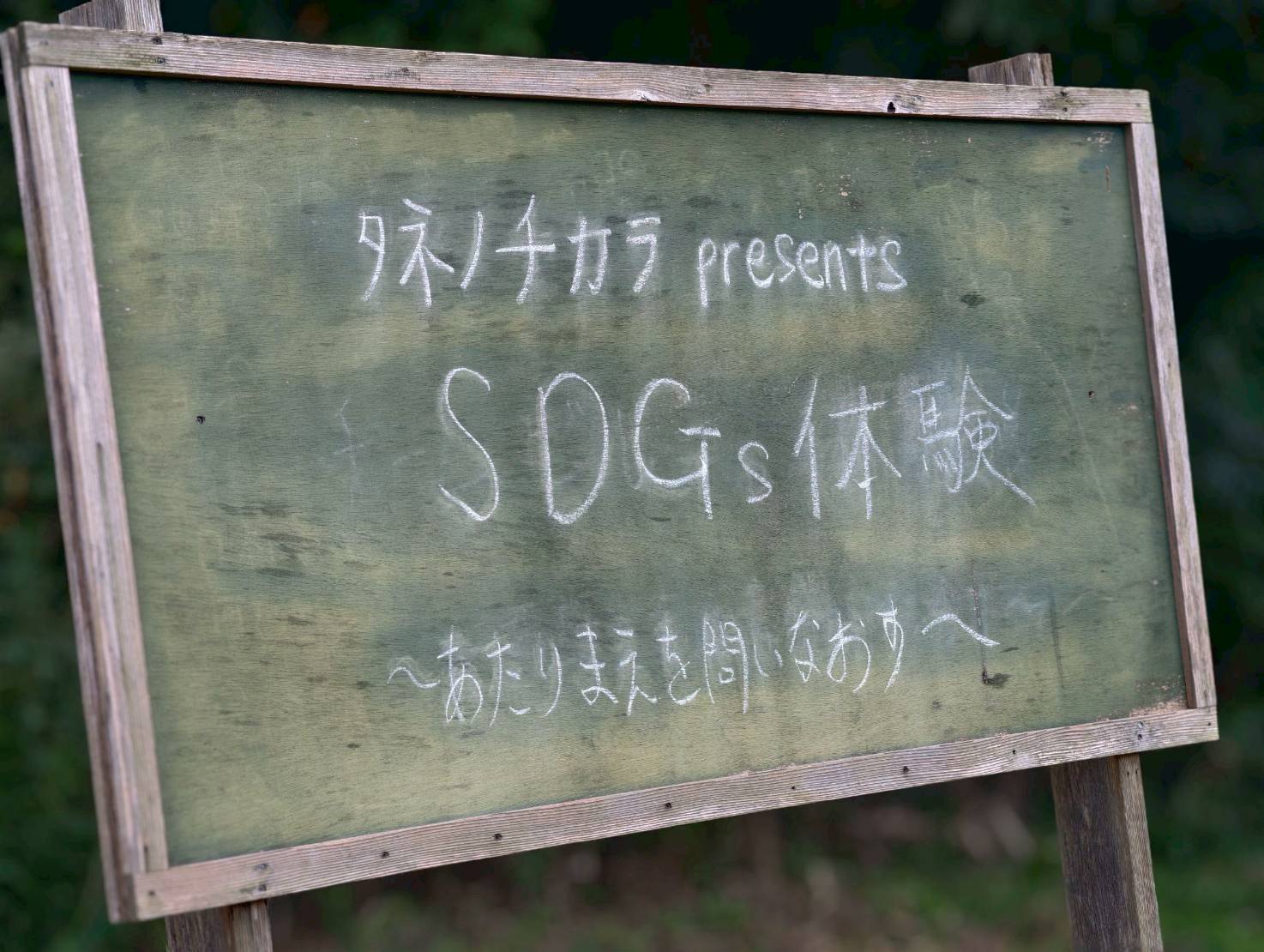 第1事業委員会 委員会事業